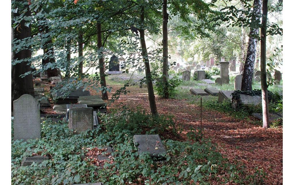 Blick auf das Gräberfeld im westlichen Bereich des Judenfriedhofs in Köln-Deutz (2016).
