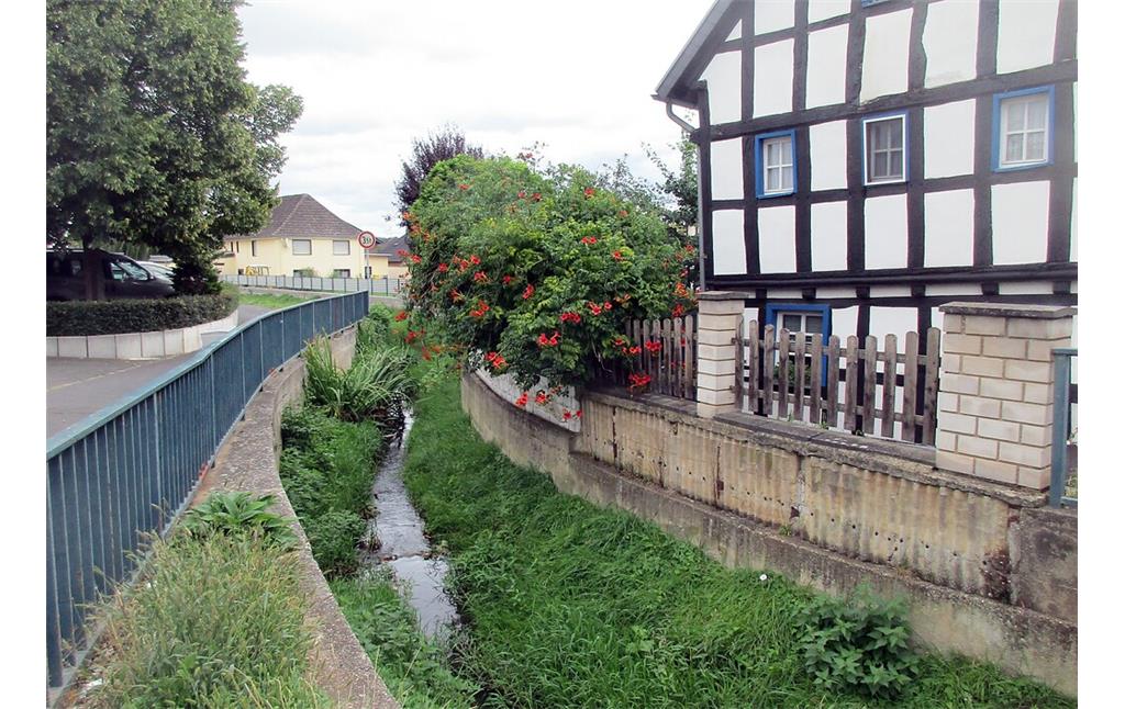 Der entlang der Straße "Im Hofpesch" durch den Ort Mechernich-Kommern fließende Bleibach (2020).
