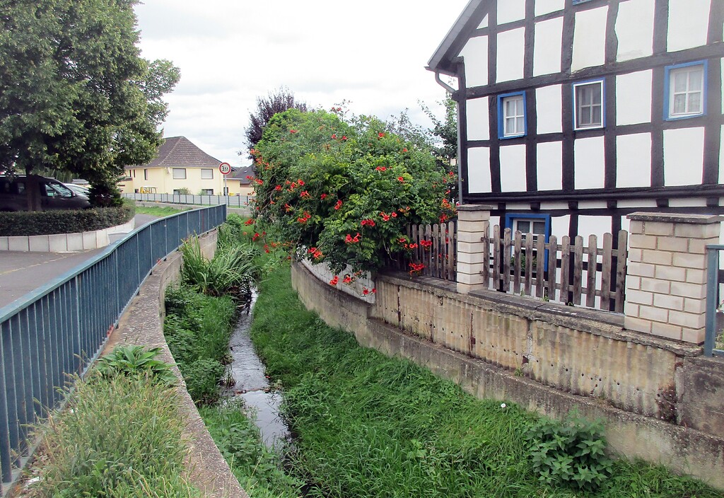 Der entlang der Straße "Im Hofpesch" durch den Ort Mechernich-Kommern fließende Bleibach (2020).