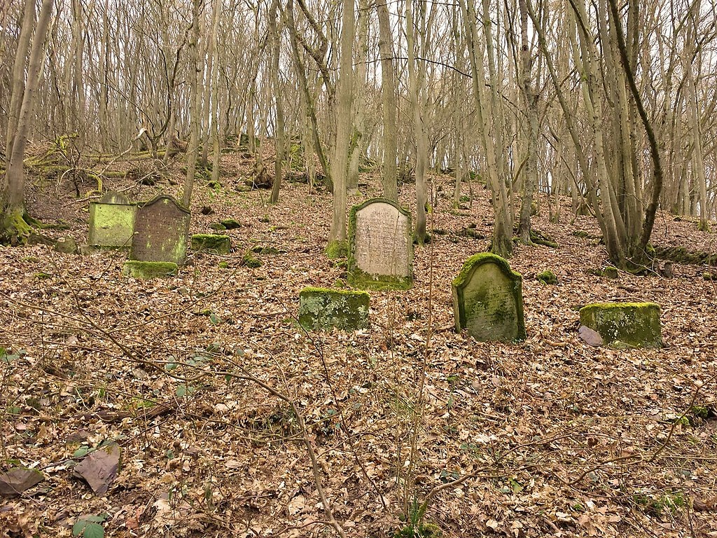 Grabsteine des älteren Judenfriedhofs "an der Knippwiese" in Cochem an der Mosel (2014).