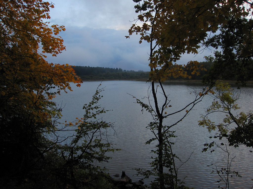 Haidenweiher in der Westerwälder Seenplatte (2013)