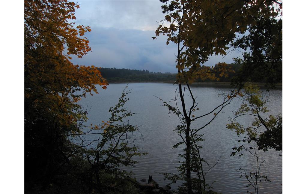 Haidenweiher in der Westerwälder Seenplatte (2013)