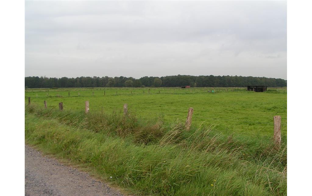 Weideflächen im Naturschutzgebiet "Torfvenn/Rehrbach". Im Hintergrund stehen Wetterschutzhütten und Viehtränken (2008).