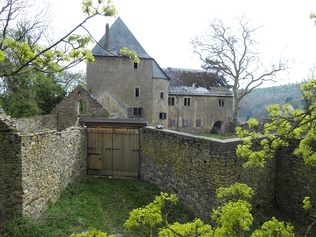 Burg Gollenfels bei Dörrebach (2009)