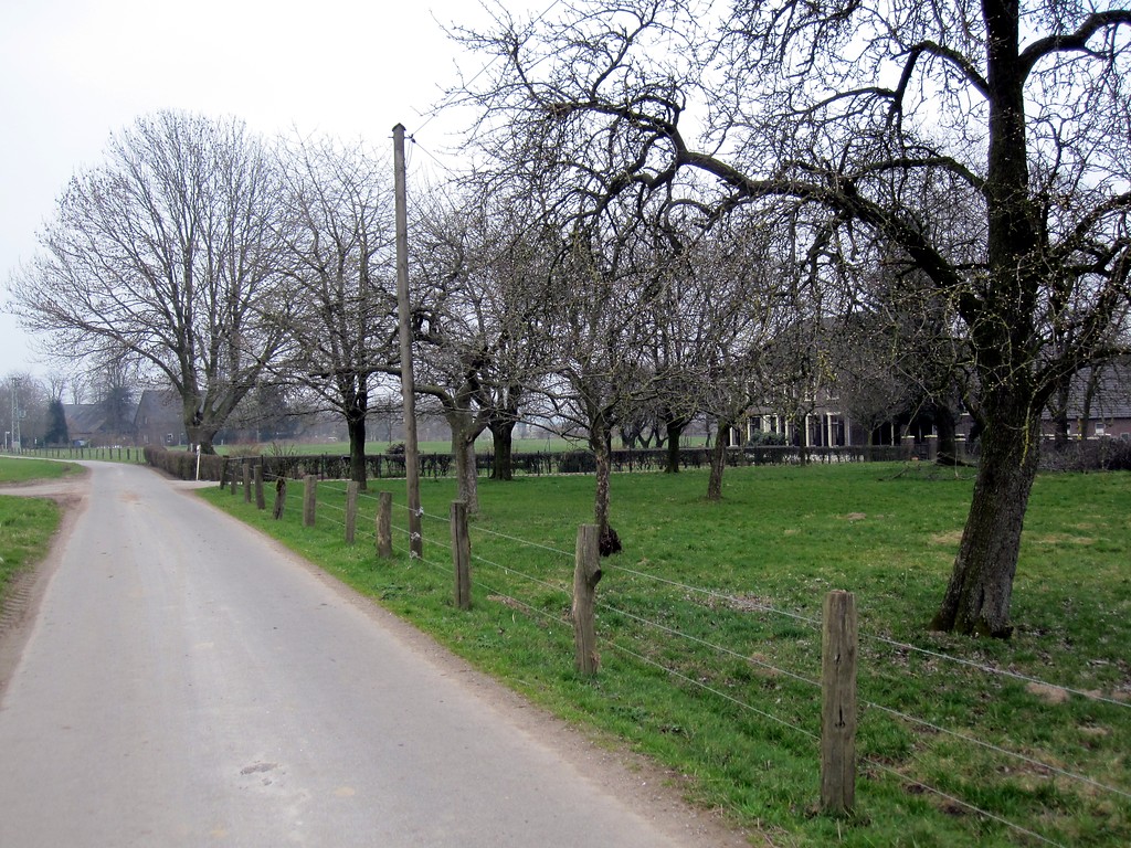 Obstwiese am Bormannshof in Uedemerfeld (2011)