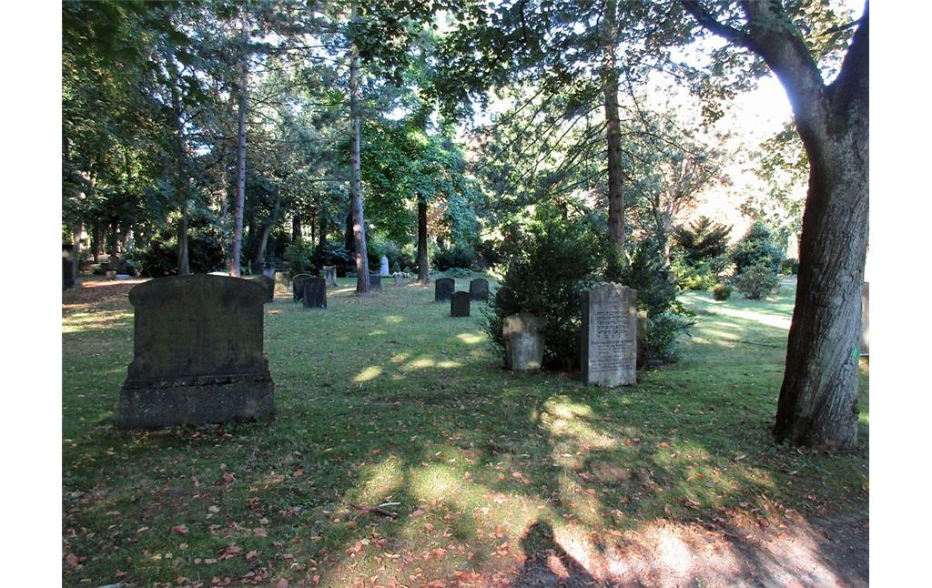 Blick über das Gräberfeld 37a des jüdischen Friedhofs auf dem kommunalen Friedhof Sternbuschweg (2016).