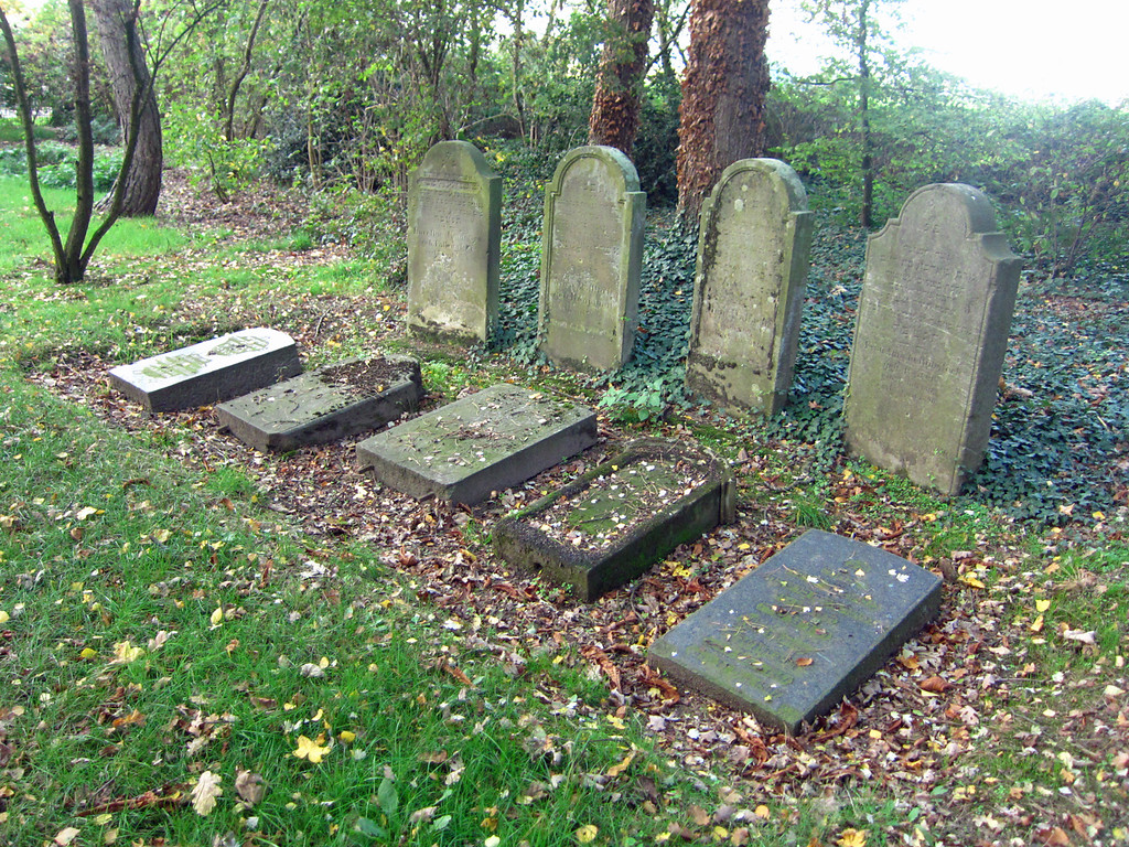Gräberreihe auf dem Judenfriedhof Knickelsdorf in Willich-Schiefbahn (2013)