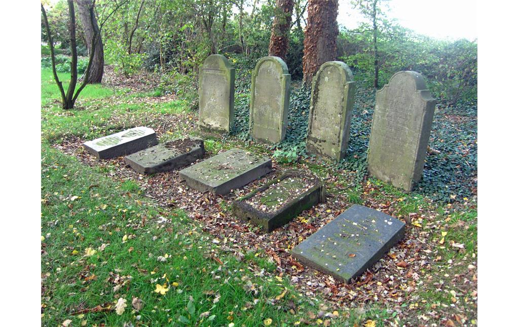 Gräberreihe auf dem Judenfriedhof Knickelsdorf in Willich-Schiefbahn (2013)