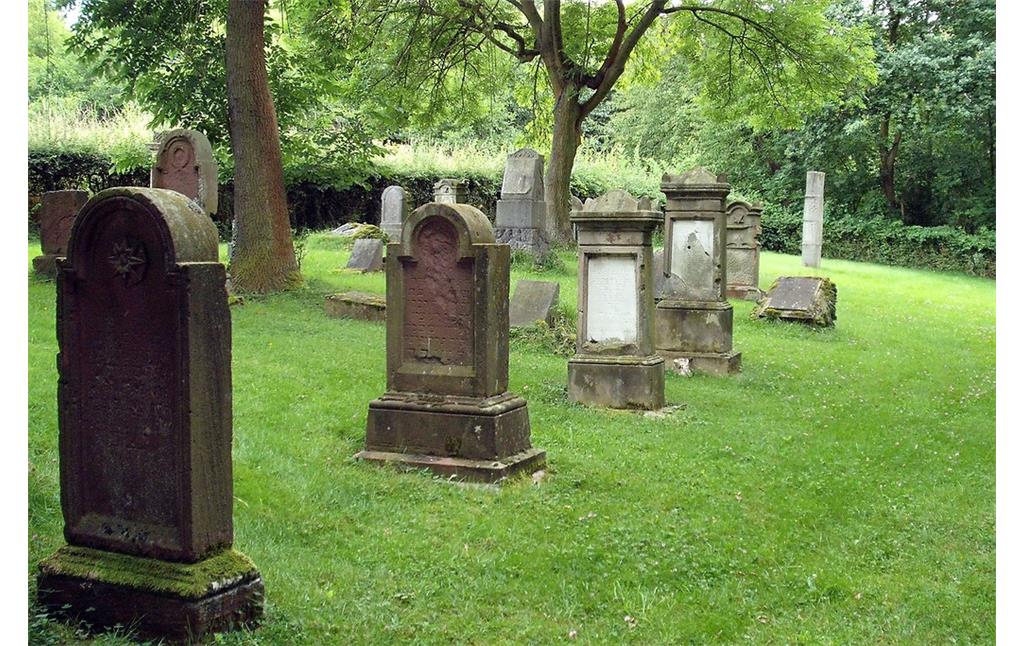 Jüdischer Friedhof Drove (2009).