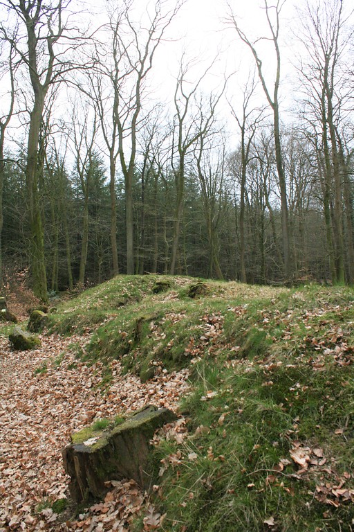 Großsteingrab "Langbett Albersdorf 49" im Steinzeitpark Dithmarschen (2019)
