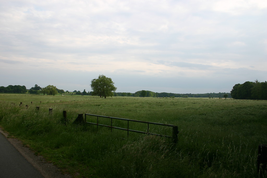 Die weitläufige Landschaft des Naturschutzgebiets Torfvenn bei Schermbeck mit Wiesen und einzelnen Bäumen (2008). Im Vordergrund steht ein Tor, das zur Straße führt.