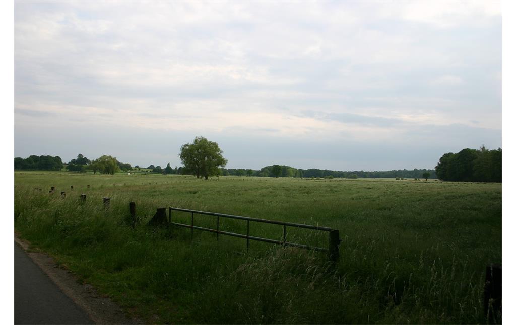 Die weitläufige Landschaft des Naturschutzgebiets Torfvenn bei Schermbeck mit Wiesen und einzelnen Bäumen (2008). Im Vordergrund steht ein Tor, das zur Straße führt.