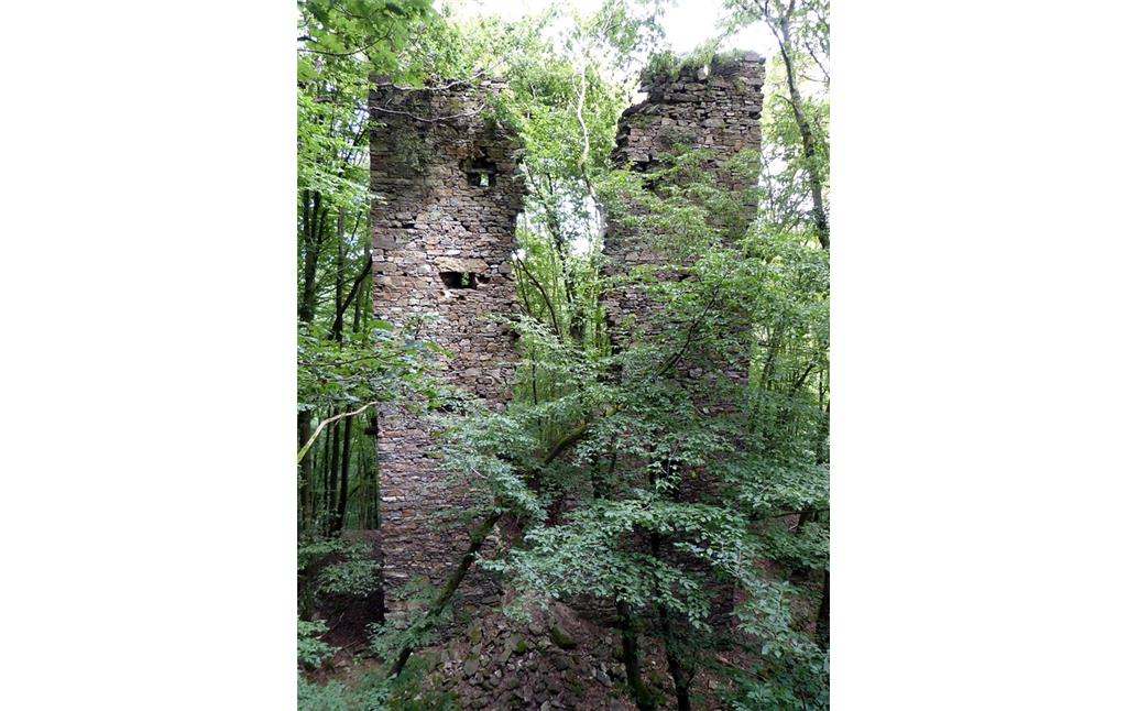 Turm der Burgruine Suitbertstein
