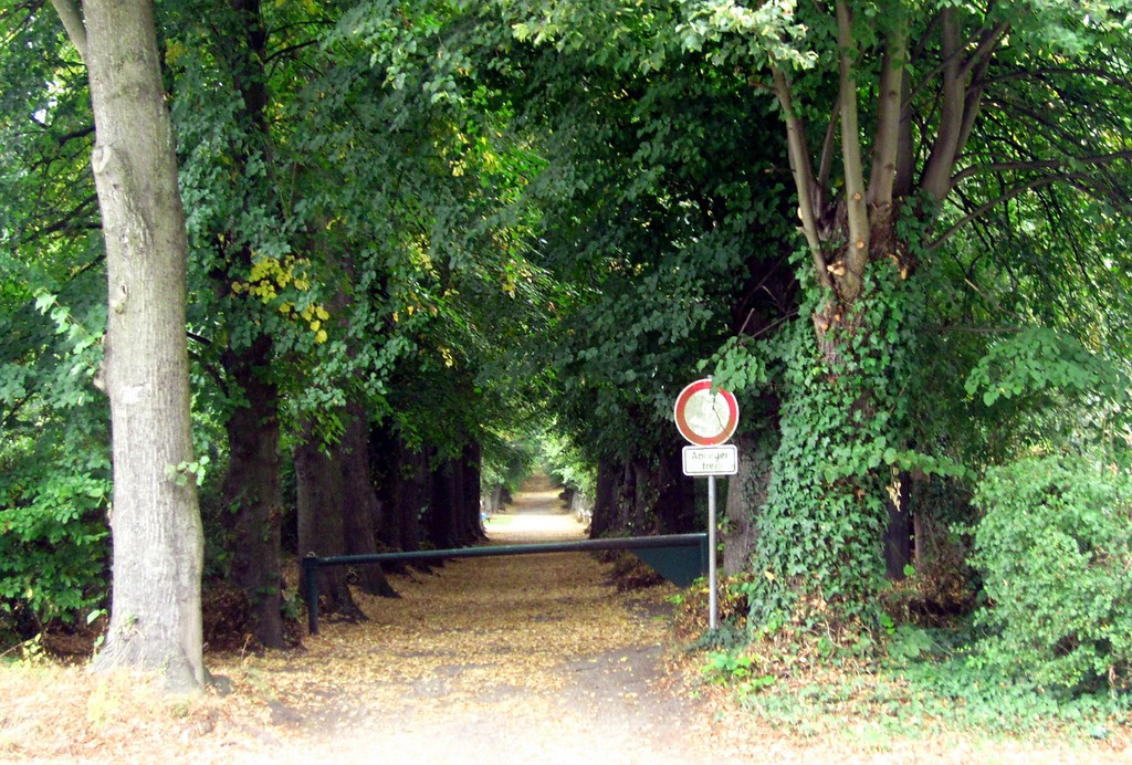 Einfahrt zum Pappelweg in Frechen-Bachem mit dem Blick nach Nordwesten in Richtung Mahlmühle und Wimaruskapelle (2013).