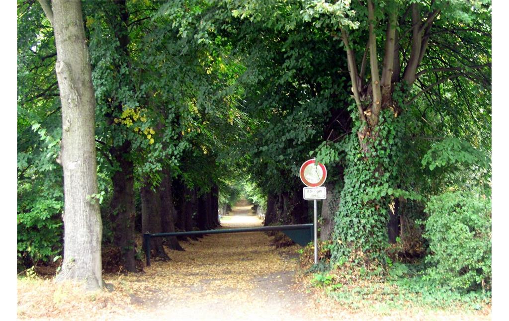 Einfahrt zum Pappelweg in Frechen-Bachem mit dem Blick nach Nordwesten in Richtung Mahlmühle und Wimaruskapelle (2013).