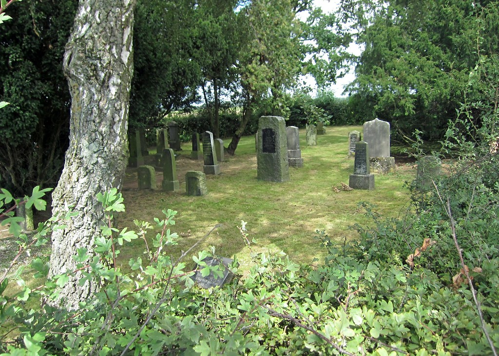 Grabsteine auf dem jüdischen Friedhof in Hemmerden von der Landstraße aus gesehen (2014)
