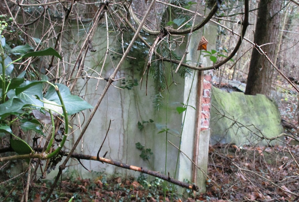 Überwucherte Reste des früheren Eingangsportals zum ehemaligen jüdischen Friedhof "am Kasselbach" in Remagen-Rolandseck (2015).