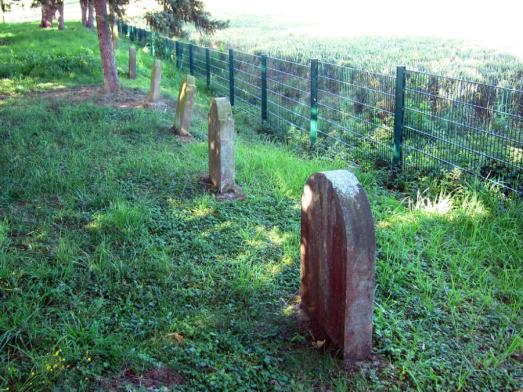 Jüdischer Friedhof in der Mohrenweide in Kirchheim (2012)