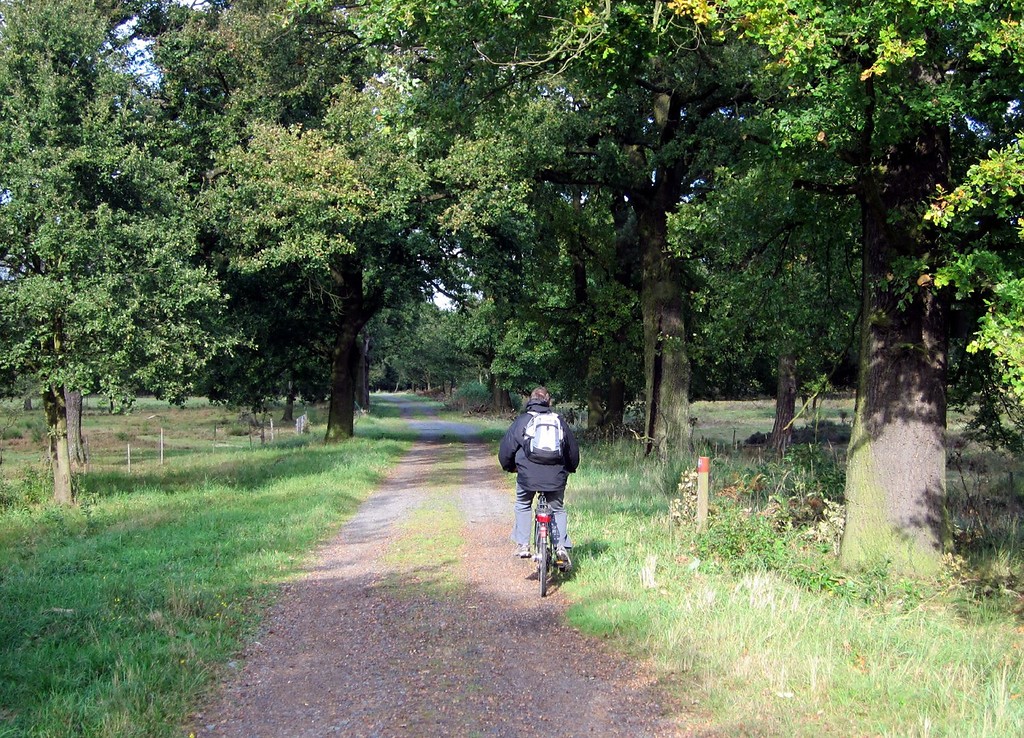 Radfahrer auf dem Wolfsweg in der Wahner Heide (2011)