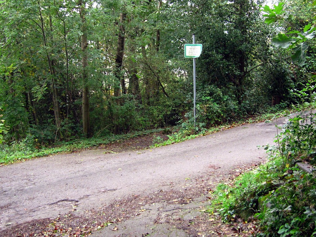 Zugangsweg zum jüdischen Friedhof am Pastoratsberg (2011)