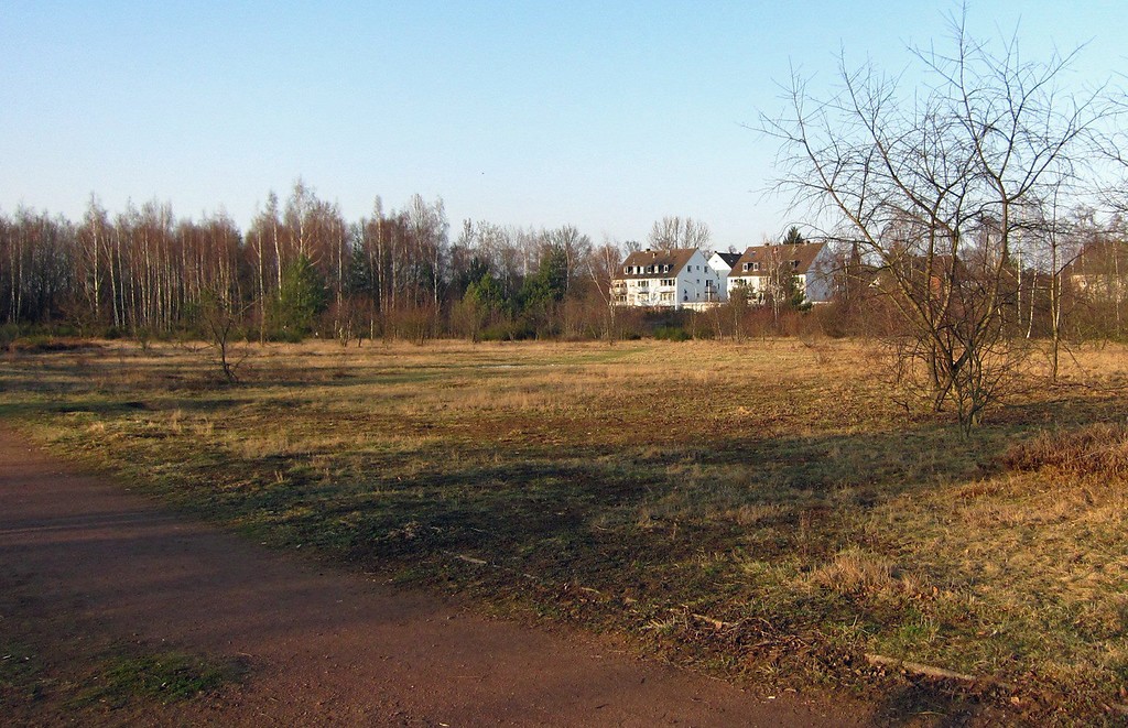 Delbrücker Heide (2012).
