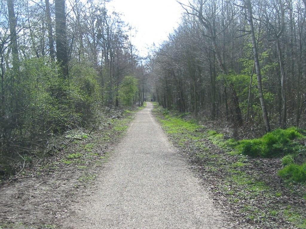 Ein Wanderweg am Liblarer See (2010).