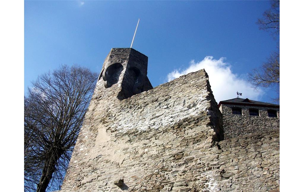 Burg Sayn bei Bendorf (2015)