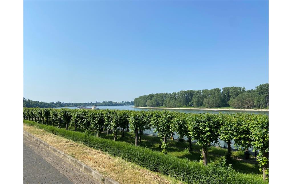 Aussicht auf den Rhein vom Friedrich-Ebert-Ufer in Porz aus mit Blick nach Süden in Richtung Zündorf (2023).