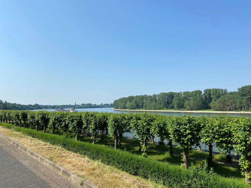 Aussicht auf den Rhein vom Friedrich-Ebert-Ufer in Porz aus mit Blick nach Süden in Richtung Zündorf (2023).