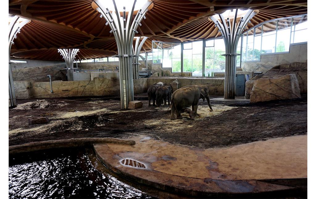 Zoologischer Garten Köln. Elefanten-Halle von 2004 (2018)