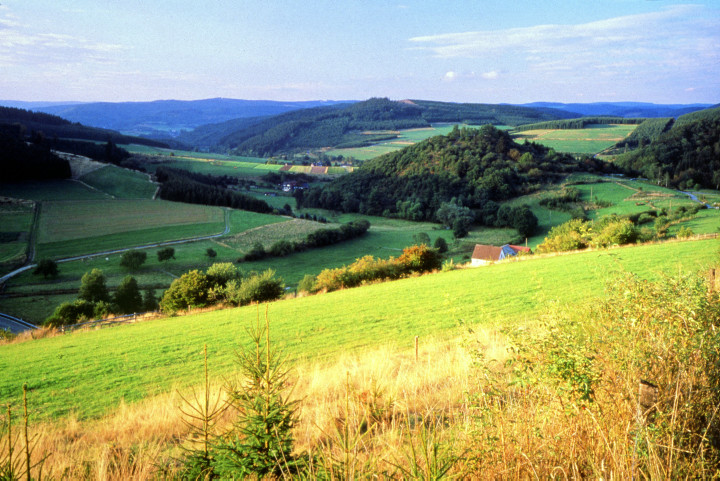 Blick auf den Burgberg der mittelalterlichen Burg Richstein bei Bad Berleburg, Kreis Siegen-Wittgenstein