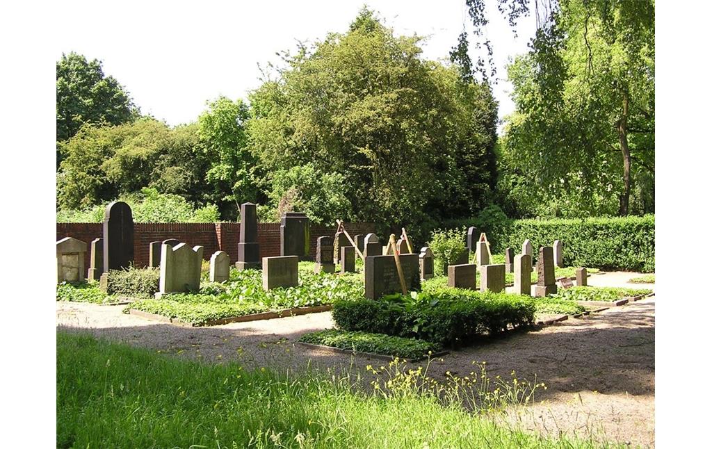 Gräberreihen auf den Jüdischen Friedhof Mattlerstraße / Mattlerbusch in Duisburg-Hamborn (2005).