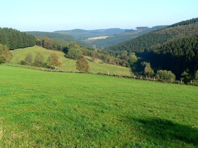 Grünlandflächen bei Sundern, Hochsauerlandkreis