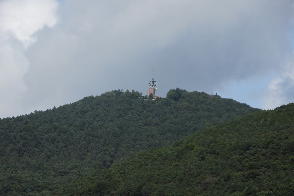 Die Kalmit, die mit 672 Metern höchste Erhebung im Pfälzerwald (2017).
