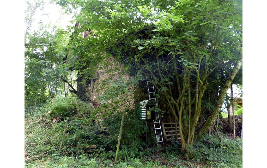Ruinöses Mühlengebäude der Alten Lehnmühle bei Schöneberg (2016)