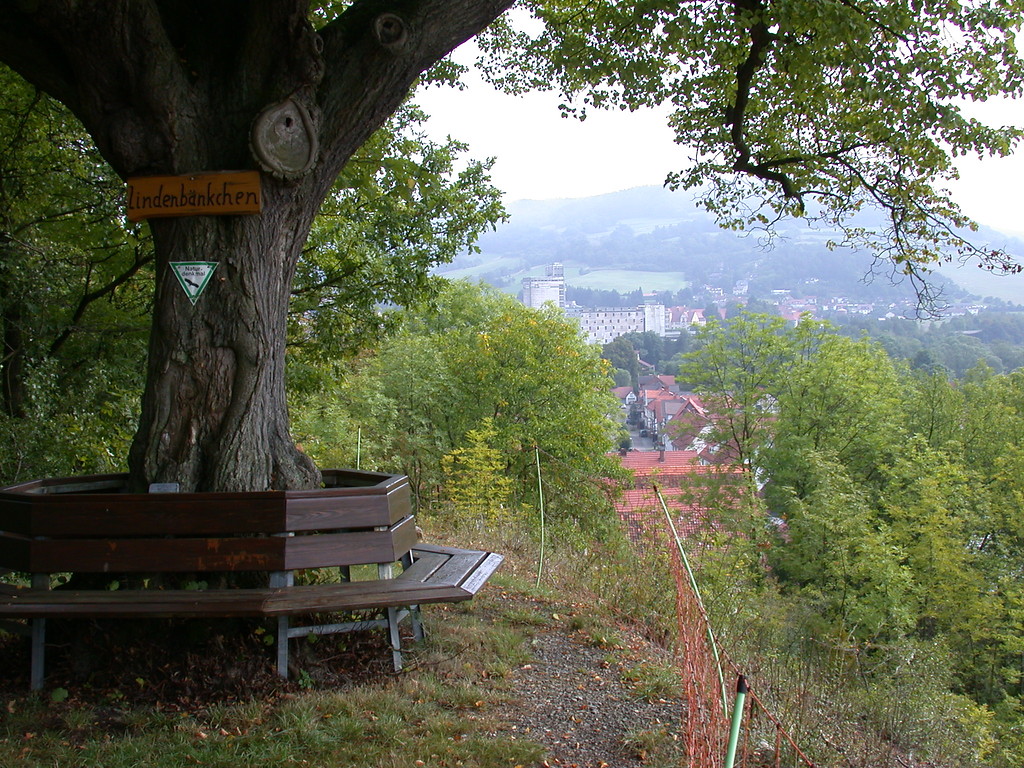 Aussichtspunkt Halberg in Neumorschen mit Lindenbaum (2009)