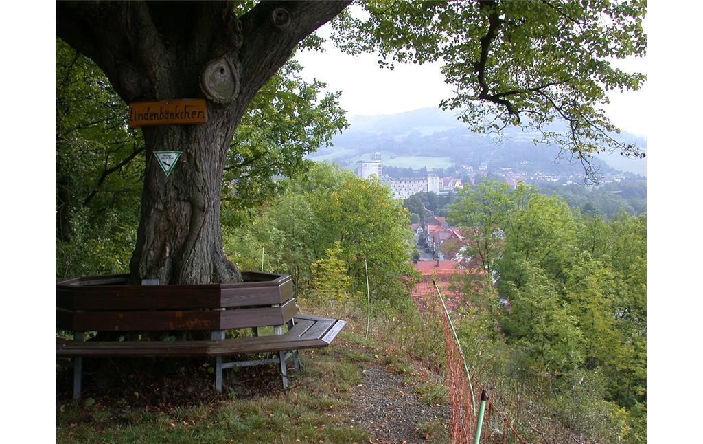 Aussichtspunkt Halberg in Neumorschen mit Lindenbaum (2009)