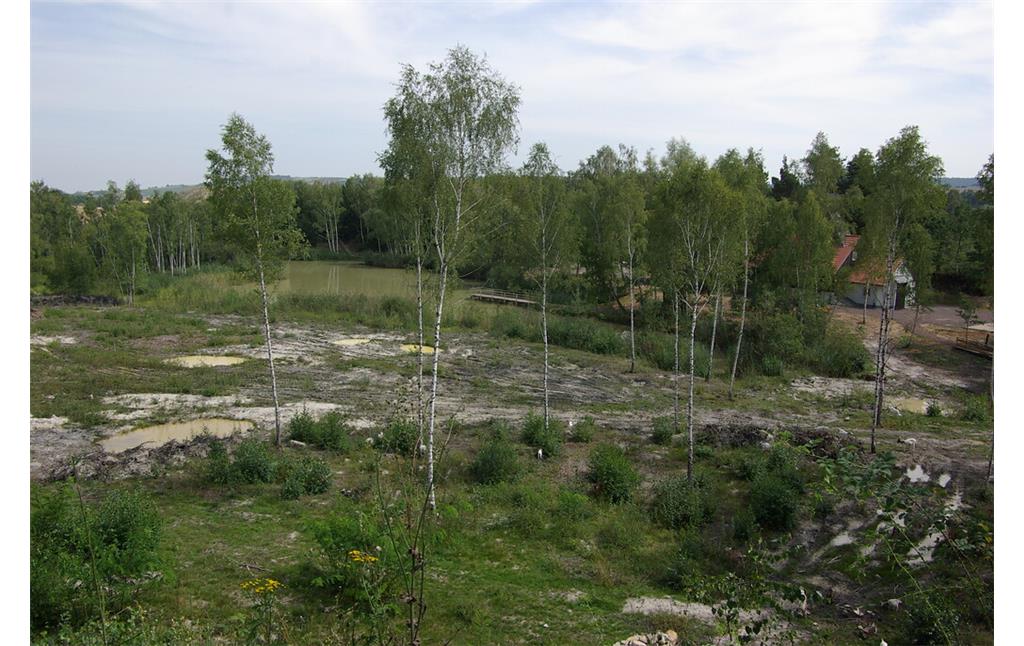 Die ehemalige Bergbaulandschaft Erdekaut in Eisenberg mit Grubengebäude der Grube Riegelstein (2020)