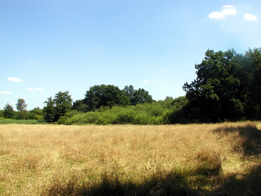Blick in das Naturschutzgebiet Southerberg (2008)