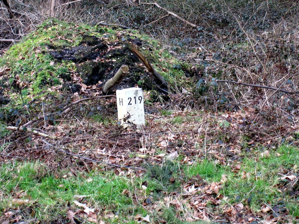 Grenzstein der Abteilungen (Gestelle oder Jagen) im Reichswald (2012)