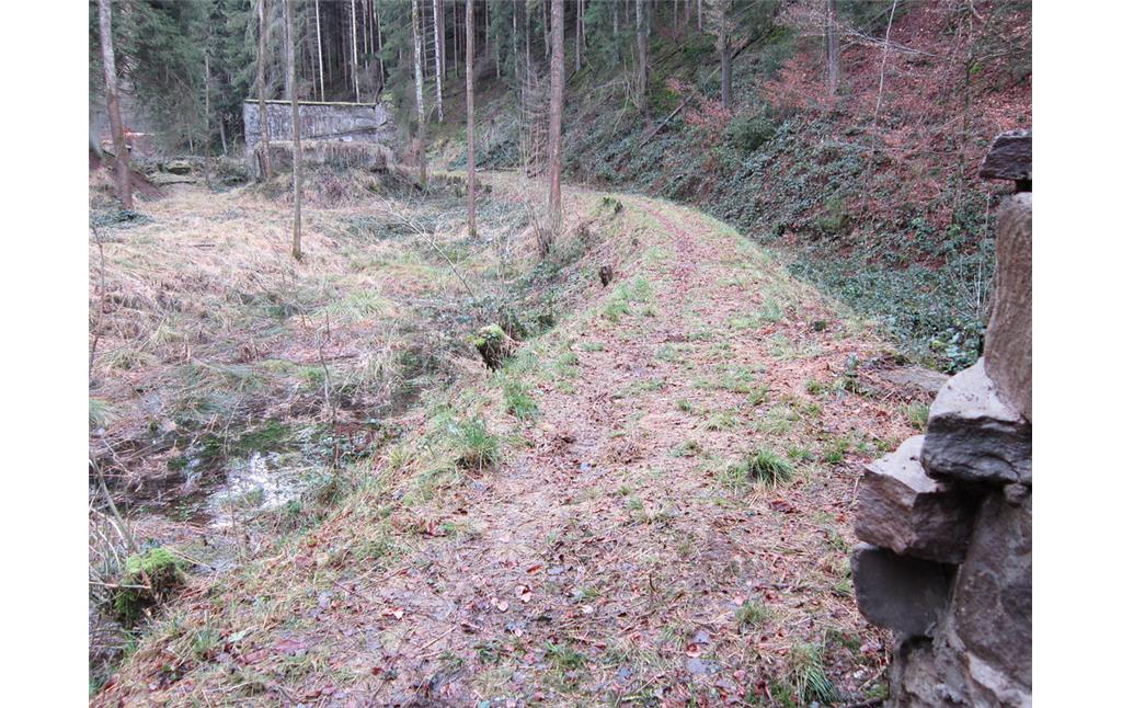 Trasse der Feldbahn im Elisenthal in Windeck, die hier entlang des nördlichen Hangs geführt wurde (2012)