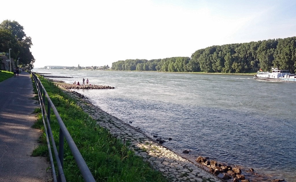 Blick auf den Rhein vom Bonn-Graurheindorfer Ufer aus in Richtung Norden (2016)