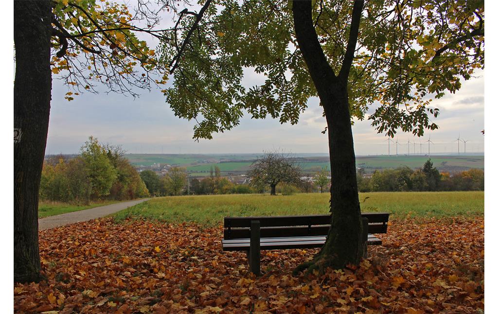 Parkanlage Schillerhain, Blick vom Standort des Wartturms in die Ferne und in Richtung Kirchheimbolanden im Herbst (2017)