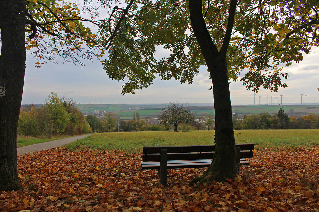 Parkanlage Schillerhain, Blick vom Standort des Wartturms in die Ferne und in Richtung Kirchheimbolanden im Herbst (2017)