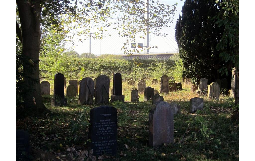 Jüdischer Friedhof in Schwarzrheindorf / Beuel (2011)