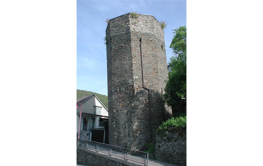 Der Beulsturm, genannt Schiefer Turm von Dausenau (2010)