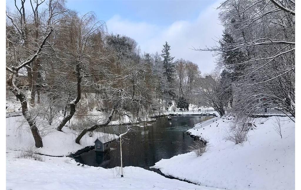 Swan pond in Stryiskyi Park in Lviv in winter