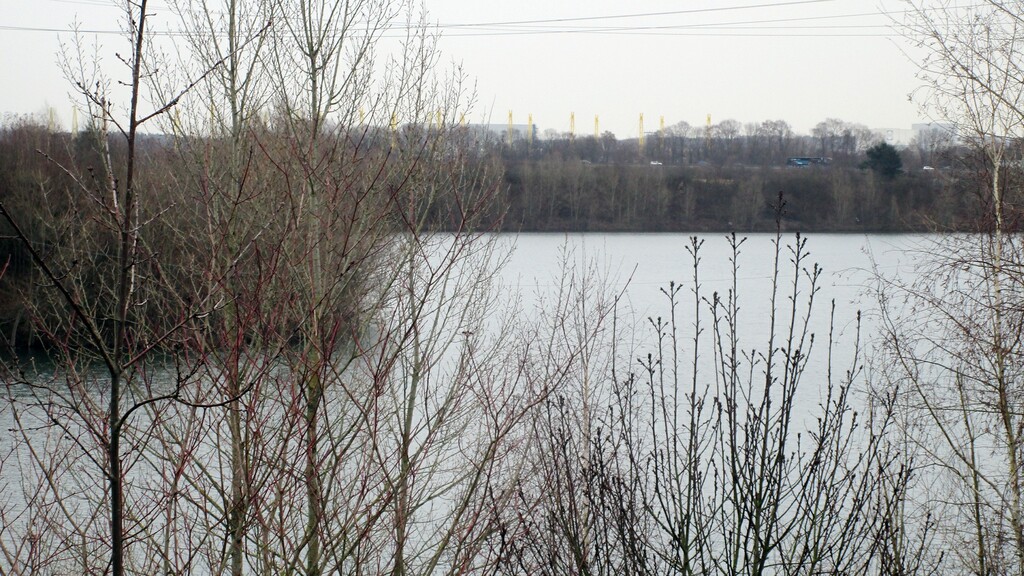 Der eine Fläche von 52,5 Hektar einnehmende Liburer See (auch Libursee oder Libur See) östlich des Ortskerns von Köln-Libur (2024).