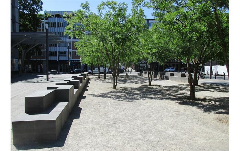 Blick von Norden über den von japanischen Schnurbäumen beschatteten Kurt-Hackenberg-Platz in Köln-Altstadt-Nord (2023). Links im Bild eines der großen Sitzelemente aus bergischer Grauwacke.