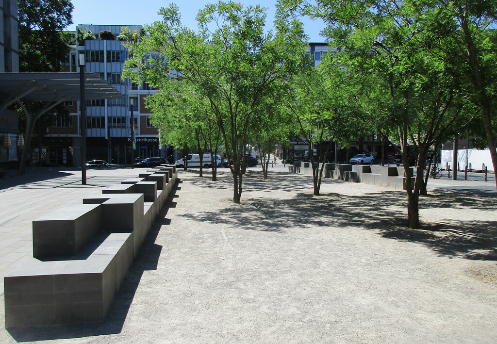 Blick von Norden über den von japanischen Schnurbäumen beschatteten Kurt-Hackenberg-Platz in Köln-Altstadt-Nord (2023). Links im Bild eines der großen Sitzelemente aus bergischer Grauwacke.
